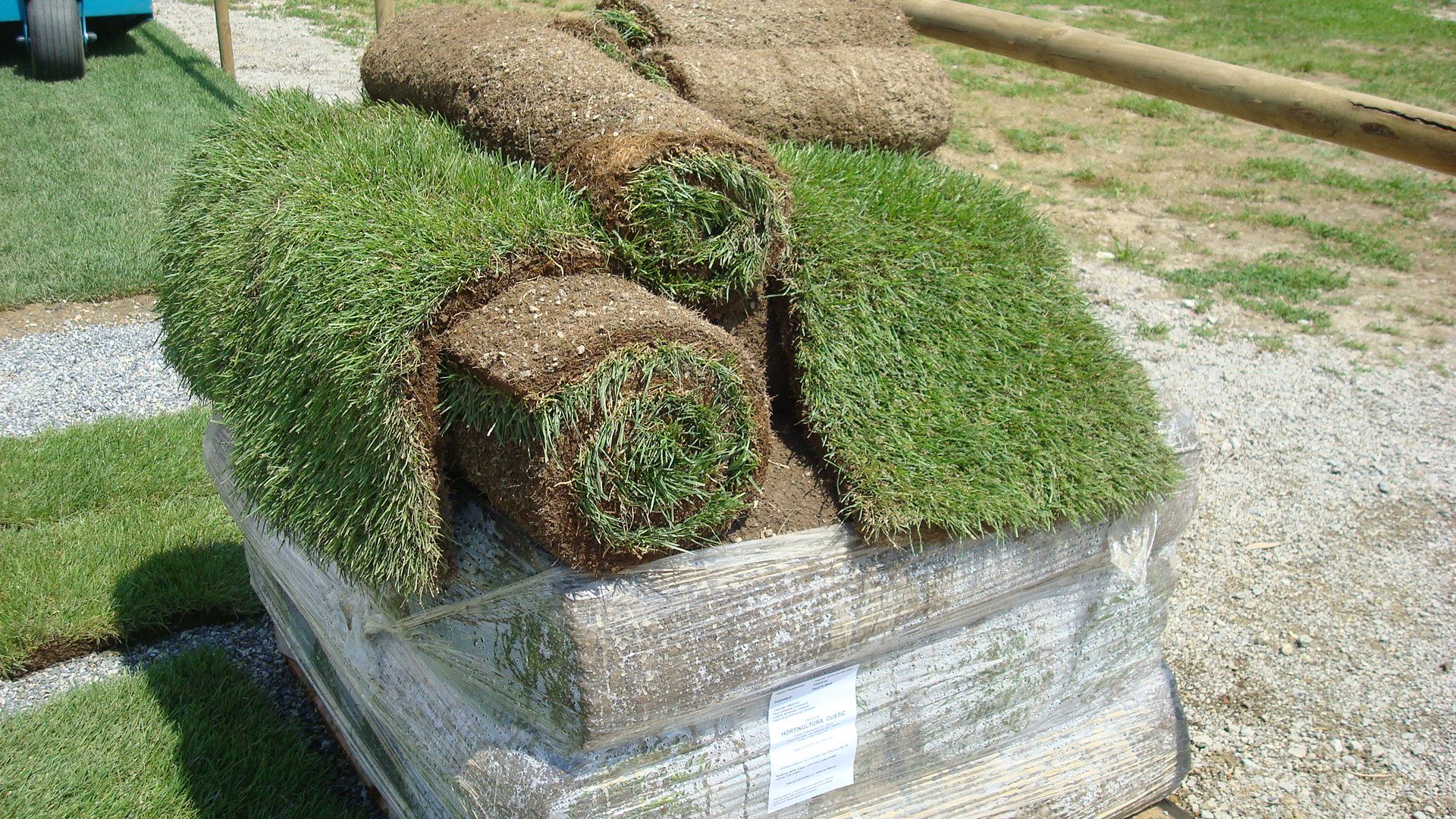 flor circeo - prato a rotoli
